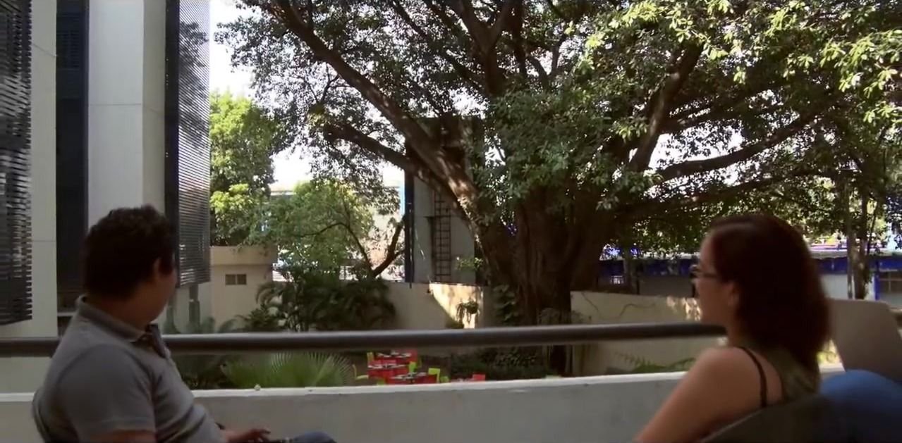 Terraza de convivencia